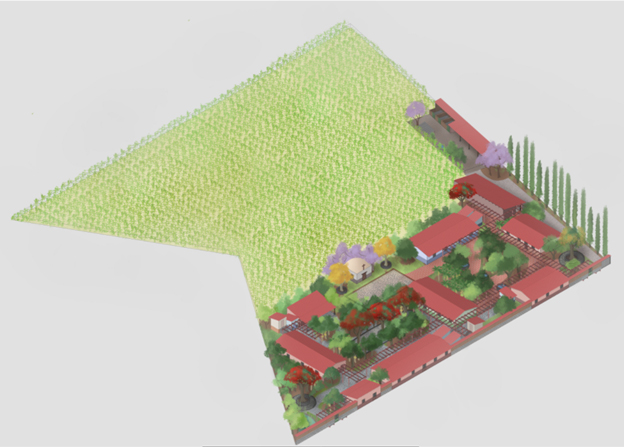 Perspectiva de conjunto