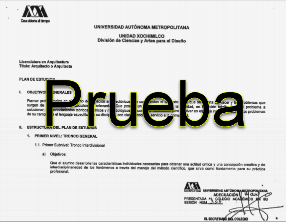 Programa de estudios